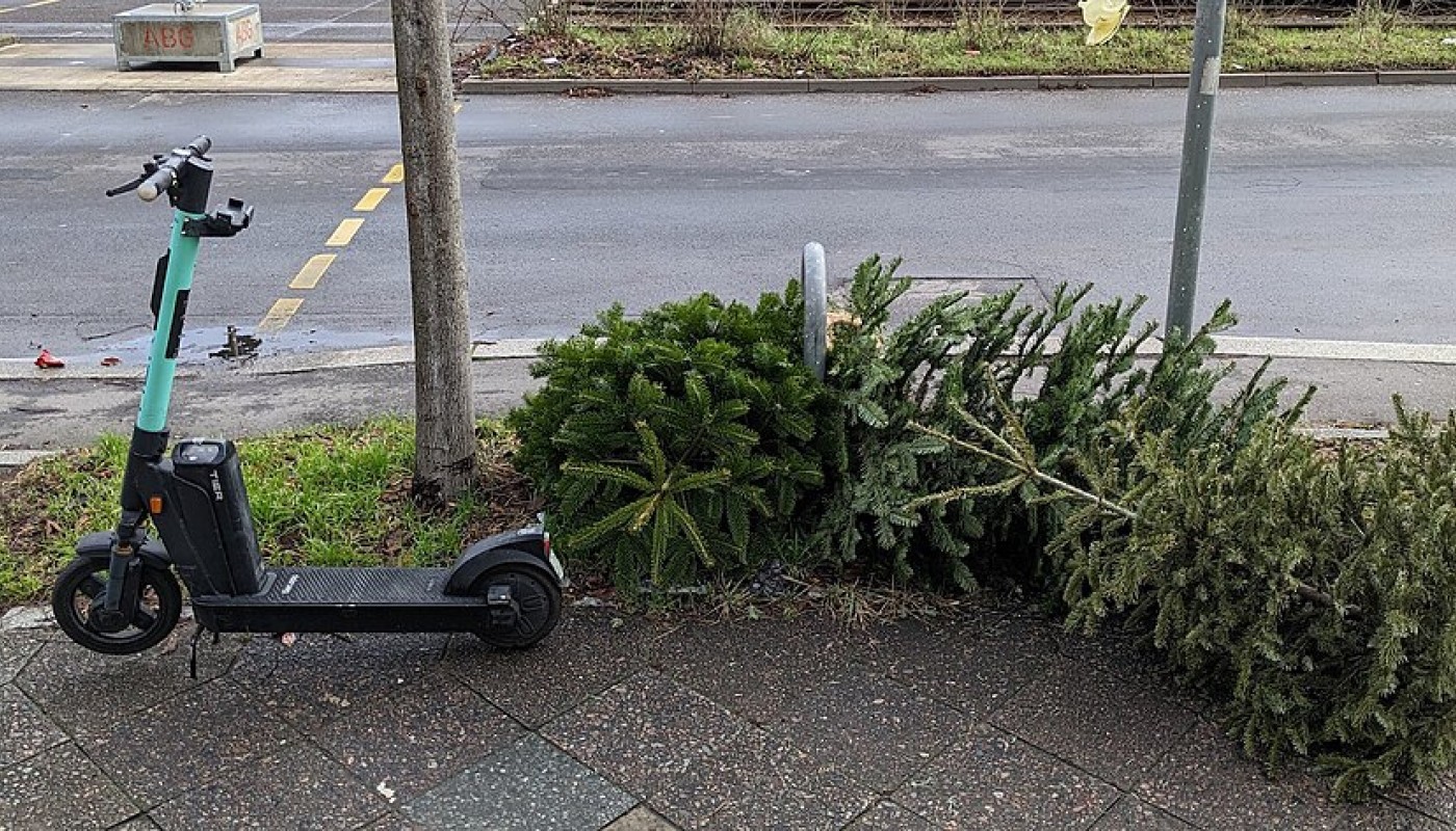Weihnachtsbäume werden Anfang Januar an mehreren Stellen eingesammelt und abgeholt